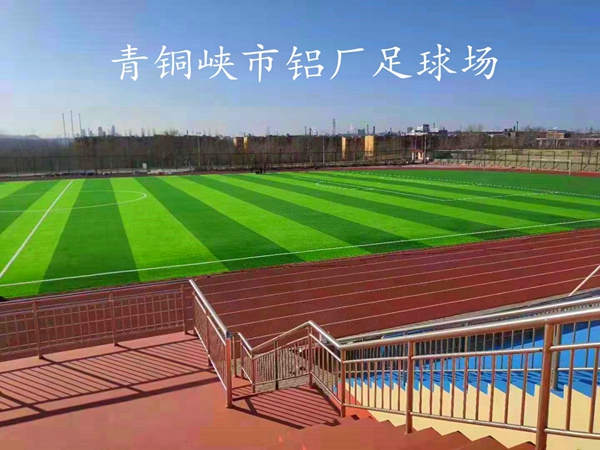 石家庄市足球场草坪