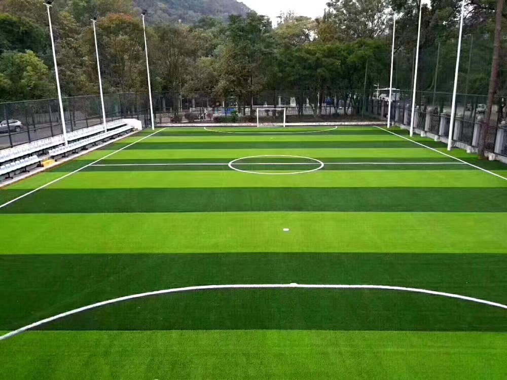 足球场草坪铺设效果
