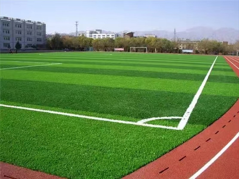 足球场草坪铺设效果