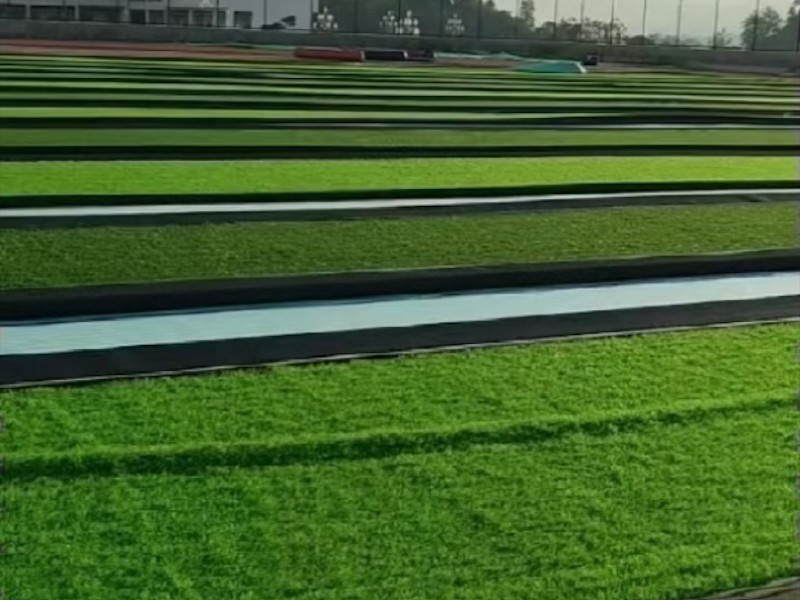 足球场草坪铺装效果