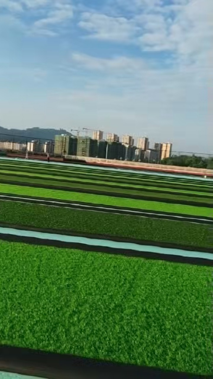 草坪铺装施工参考