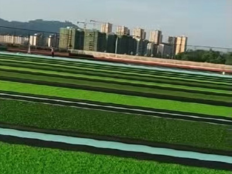 草坪铺装施工参考