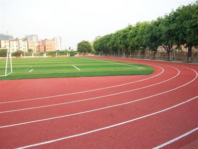 塑胶跑道材料近景展示