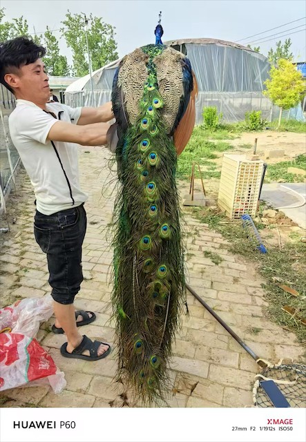养殖环境实拍