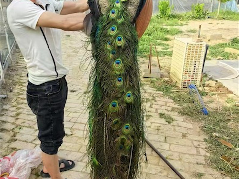 养殖环境实拍