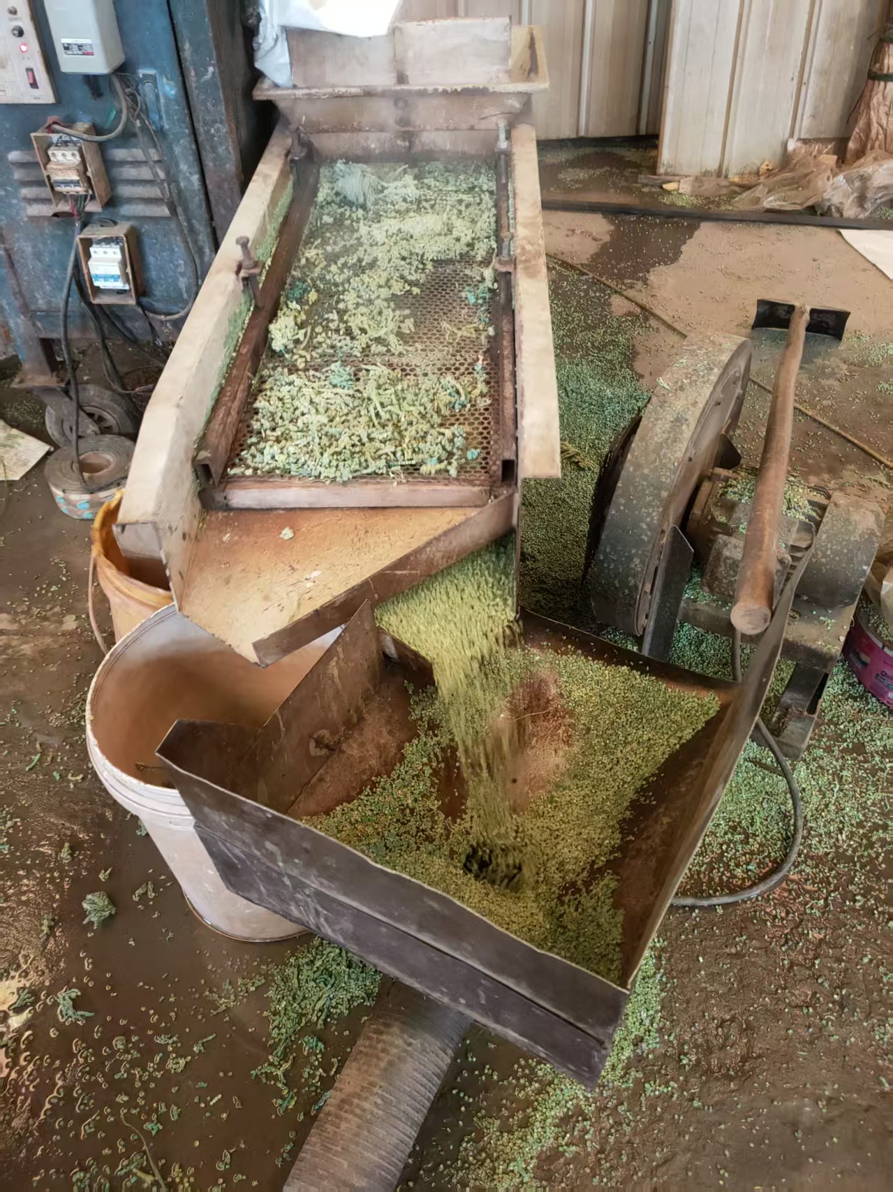 再生塑料颗粒样品