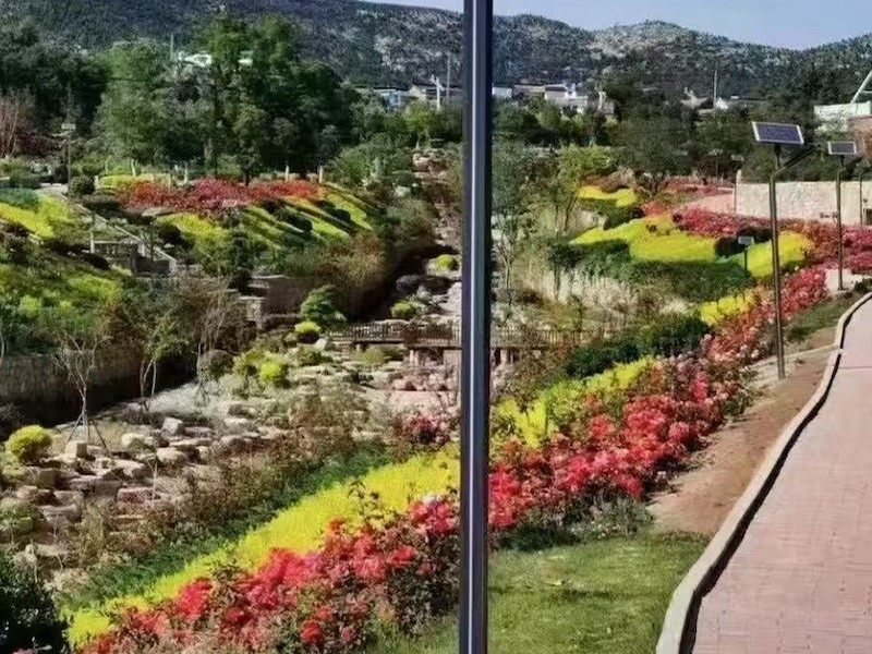 路灯应用场景